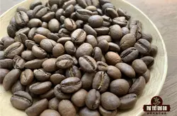 玻利維亞咖啡歷史 玻利維亞咖啡和巴西喜拉多咖啡的風味對比