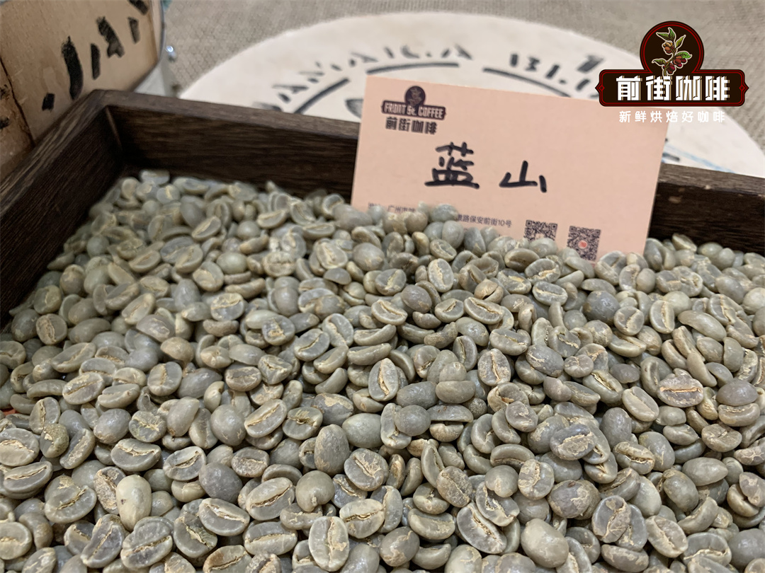 藍山豌豆咖啡豆和藍山咖啡豆的形狀烘焙時間的區別 藍山咖啡莊園
