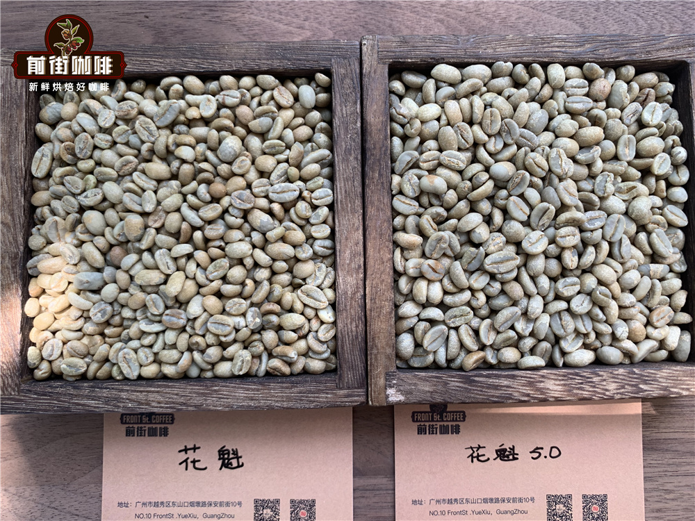 日曬處理法的西達摩花魁咖啡豆G1到5.0的風味特點描述和介紹