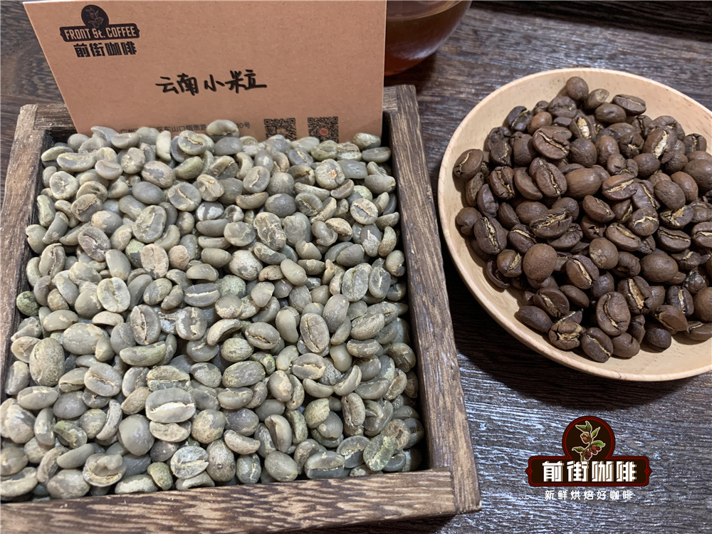 阿拉比卡品種的雲南小粒咖啡是精品咖啡嗎 口感特點怎麼樣