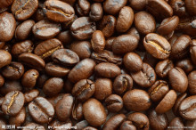 精選高品質咖啡豆推薦在哪買 單品咖啡咖啡豆價格多少錢一斤