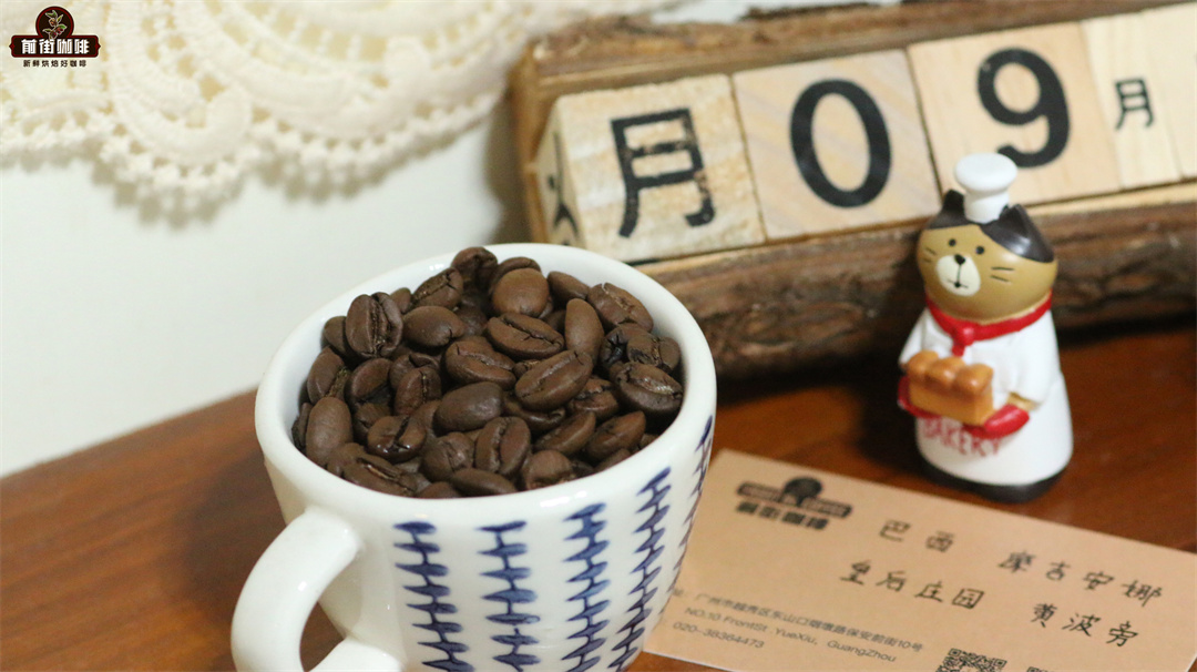 巴西咖啡豆品種特點介紹 巴西波旁咖啡豆風味手沖沖泡步驟