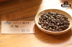埃塞俄比亞吉吉罕貝拉產區花魁咖啡風味特點介紹