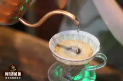 雲南咖啡手衝怎麼沖泡好喝 雲南咖啡豆沖泡參數風味口感特點