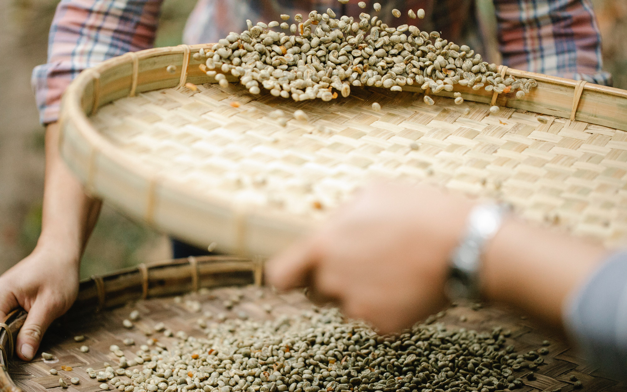 哥倫比亞咖啡豆的品種風味口感特點介紹和等級分級制度