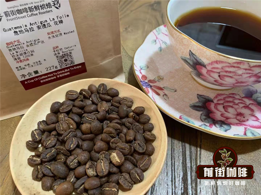 美洲危地馬拉精品咖啡豆 哈拉帕產區瑰夏咖啡豆品種風味描述