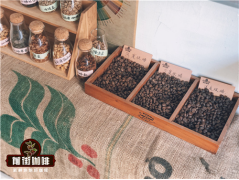 非洲優質的單品豆 非洲精品咖啡豆的產地種植環境風味特色介紹