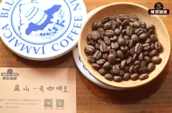 藍山風味咖啡豆與藍山咖啡豆的區別 藍山風味咖啡特點口感描述
