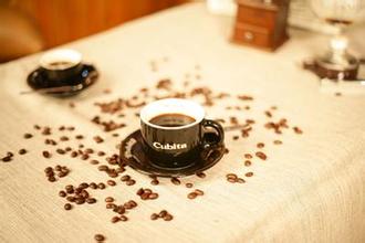 精品咖啡豆介紹 絕頂咖啡 古巴水晶山咖啡最新資訊