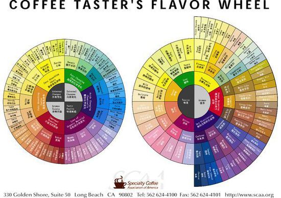 如何更好的分辨咖啡豆的好與壞？