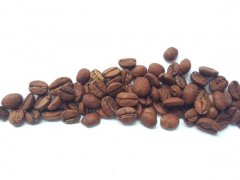 最古老的咖啡之一也門摩卡