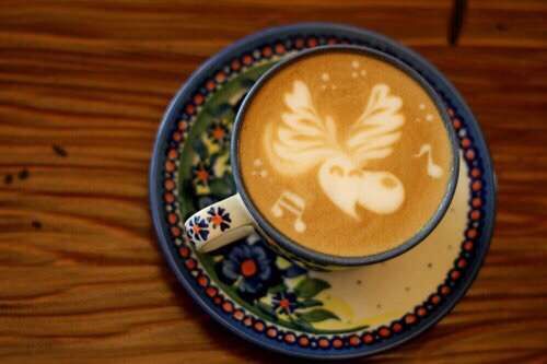 在日本福岡，和猛禽貓頭鷹一起喝咖啡賣萌