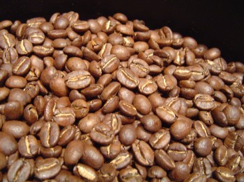 詳細講解莊園咖啡的概念到底是什麼？