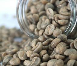 精品咖啡生豆傳播歷史及最新信息介紹