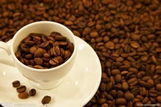 哥斯達黎加咖啡 最新咖啡信息 精品咖啡