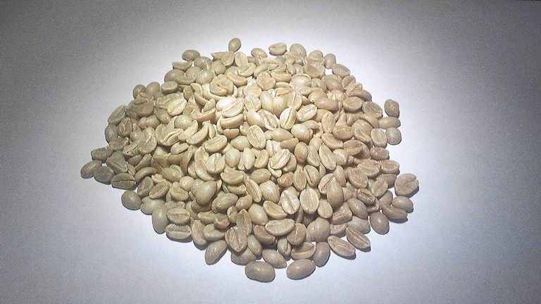 低咖啡因品種——變種尖身波旁與伊索比亞野生低因咖啡樹