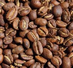 精品咖啡豆-埃塞俄比亞耶加雪菲的詳情介紹