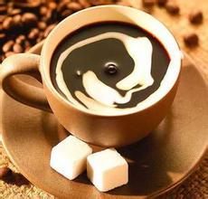 印度尼西亞麝香貓咖啡 世界上最貴的咖啡之一