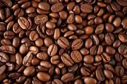 精品咖啡豆：尼加拉瓜檸檬樹莊園爪哇長粒豆種介紹