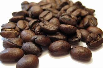 精品咖啡豆：巴西巧克拉咖啡 (Brazil Chocola) 的詳情介紹
