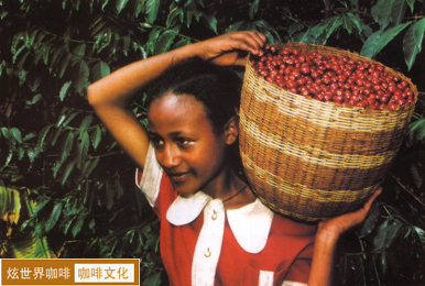 帶你進入咖啡的神祕世界 尋找咖啡的故鄉埃塞俄比亞