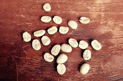 咖啡生豆標籤：“GP”、＂EP＂與＂SWP”的講解