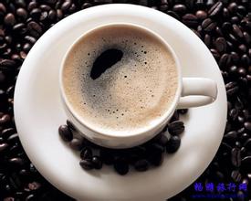 精品咖啡 麝香貓咖啡 風味獨特的咖啡