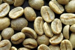 精品咖啡豆：哥倫比亞 妙玲瓏 Narino Columbia 的介紹