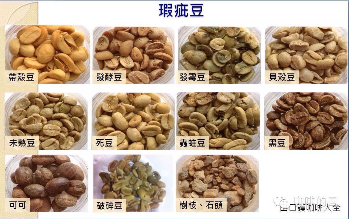 教你如何正確的辨別生豆好壞的簡便方法？