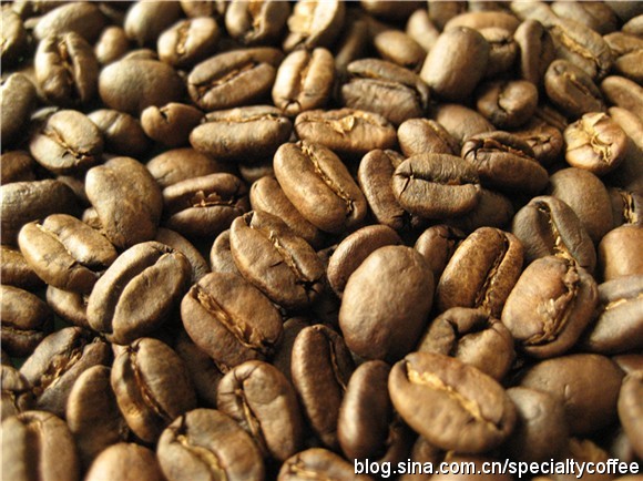 精品咖啡豆：印尼曼特寧和黃金曼特寧咖啡豆的區別