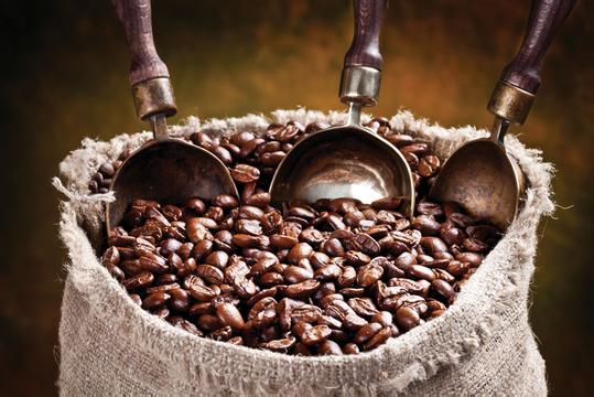 精品咖啡豆：簡析也門咖啡其他種類 瞭解咖啡產區