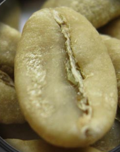精品咖啡豆：亞洲著名咖啡豆的分類及口感的詳細介紹
