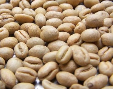圓豆的知識 它又叫公豆（Peaberry）在咖啡豆裏算是好還是不好呢