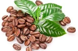 精品咖啡豆：世界精品咖啡豆的產區及風味的詳細講解