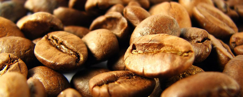 精品咖啡豆：古巴馬拉戈日皮咖啡象豆Elephant Bean