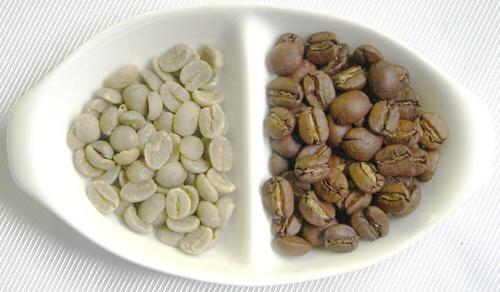 精品咖啡豆：咖啡品種之波旁種（Bourbon Varietal）