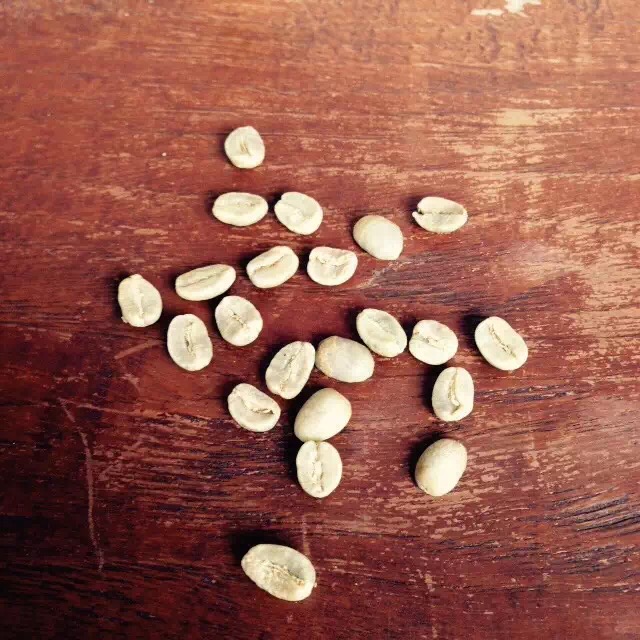 精品咖啡豆：觀察咖啡生豆的10大要素講解