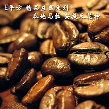 世界精品咖啡豆：安提瓜 花神咖啡豆 Antiqua Flora的介紹