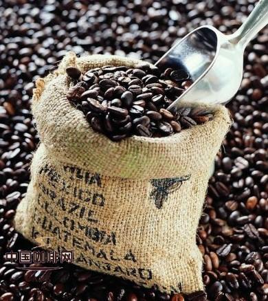 精品咖啡豆：90+精品咖啡介紹 展望未來咖啡世界