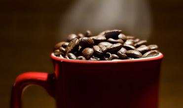 精品咖啡豆 危地馬拉咖啡 風味獨特