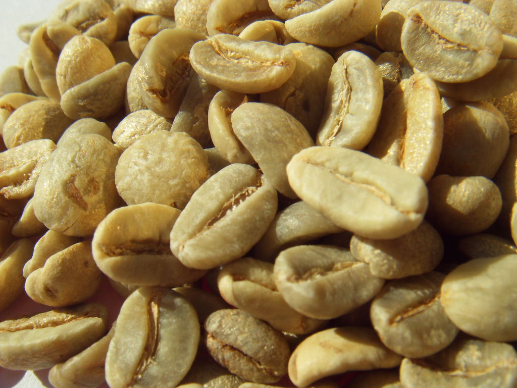 世界精品咖啡豆：巴西黃波邦 淡淡的香甜味