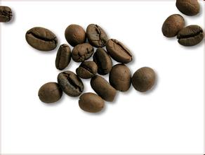 爪哇咖啡 精品咖啡豆 最新簡介