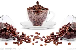 精品咖啡豆：教你分辨咖啡豆以及咖啡豆的分級 咖啡入門學基礎