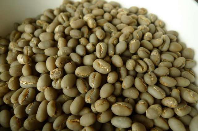 世界精品咖啡：圓豆的知識 它又叫公豆（Peaberry）的介紹