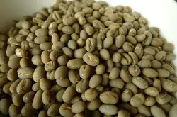 世界精品咖啡：圓豆的知識 它又叫公豆（Peaberry）的介紹