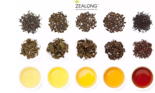 Zealong茶攜手新西蘭第一咖啡品牌Esquires Coffee掀起飲茶熱