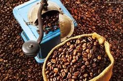 咖啡品質介紹：影響一杯咖啡味道的因素——From Crop To Cup