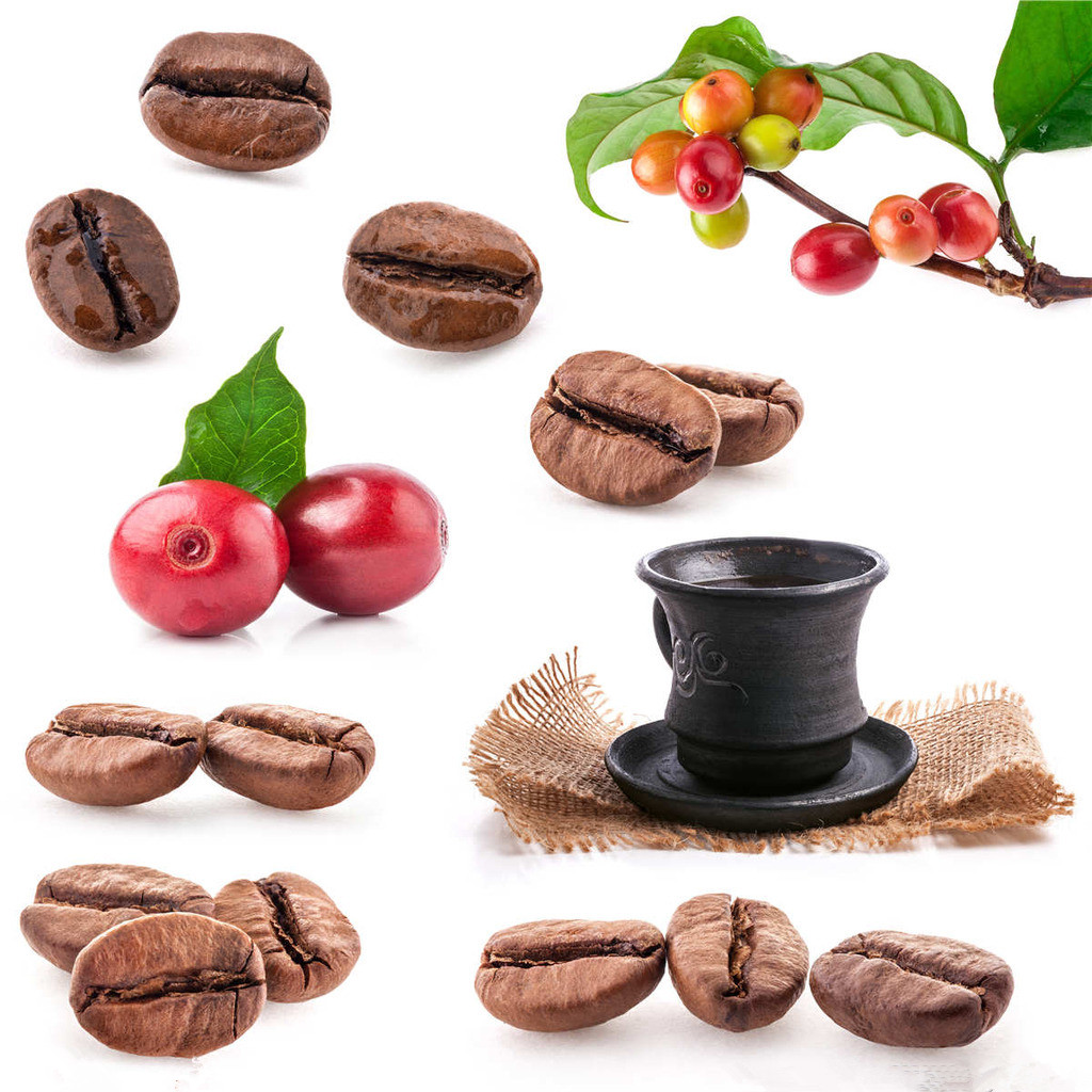 咖啡豆子的旅途：生豆的移動 從種子豆漂洋過海到熟豆的過程