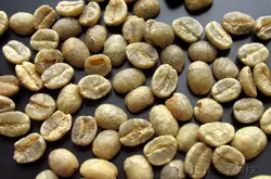 世界精品咖啡豆介紹：肯尼亞咖啡生豆 Kenya AA green bean