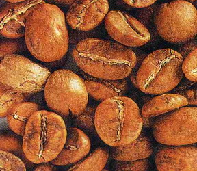 咖啡豆處理方式烘焙技術技巧：咖啡豆烘焙度簡介介紹